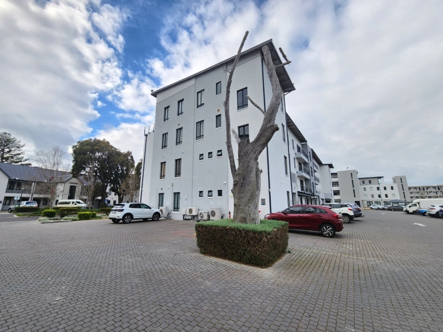To Let commercial Property for Rent in Paardevlei Western Cape